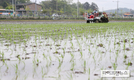 지금 농촌은…“모내기로 바쁘다 바빠”