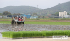 지금 농촌은…“모내기로 바쁘다 바빠”
