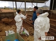 축산 현장 맞춤형 종합상담 “질병분야 가장 도움”