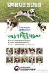 은퇴한 농축산물 검역탐지견 10마리 민간분양