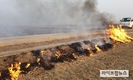 해충방제 위한 ‘논두렁 태우기’…“이제 그만”