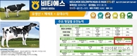 농진청, 젖소 신규 개량형질 ‘경제수명’ 개발