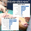 한돈농가 가장 큰 애로사항 ‘분뇨·환경민원’