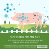 돼지 배출계수 8종 개발…온실가스 배출량 정확하게 산정한다