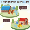 7~8월 육계 도축 마릿수 전년대비 2.6~4.2% 감소