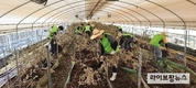 농식품부, 집중호우 피해농가 일손돕기 구슬땀