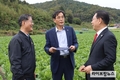 농식품부, 김장용 가을배추 생육 상황 점검