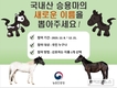 농진청, ‘국내산 승용마’ 새로운 이름 공모