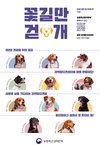 “검역탐지견 11마리의 새로운 가족을 찾습니다”