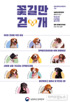 “검역탐지견 11마리의 새로운 가족을 찾습니다”