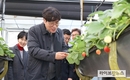 조재호 농진청장, 충남 딸기 재배 청년 농가 방문