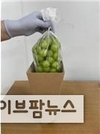 농촌진흥청, ‘포도 온라인 배송’ 안심 상자로 ‘안전하게’