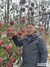 2024 과일대전 포항시 태산농원 서상욱 ‘사과 후지’ 대상 차지