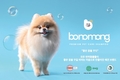 보노몽(bonomong), 신세계百 본점 팝업스토어 28일까지 진행