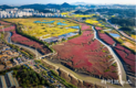국가도시공원의 시작, 소래습지에서 답을 찾다