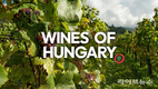 헝가리와인협회, 글로벌 홍보 강화…“헝가리 와인 알리기에 박차”