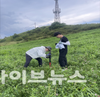 ‘초지 흡수 온실가스’ 국내 기준으로 정확히 산정한다