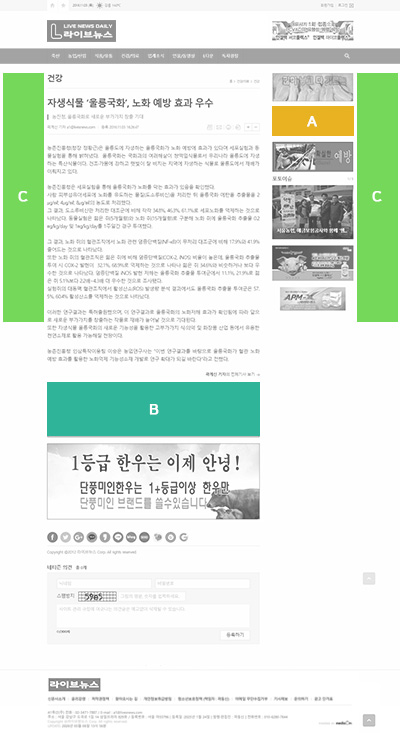 기사부분 광고영역